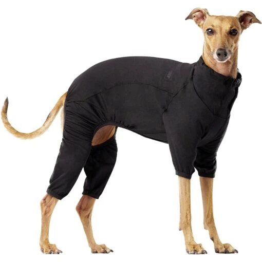 Canada Pooch Thermal Layer Dog Onesie, Black -Dog Supplies 229714 MAIN. AC SS1800 V1597884683