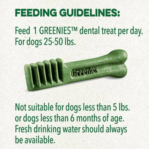 Greenies Original Regular Holiday Dental Dog Treats, 6 Count -Dog Supplies 231258 PT8. AC SS1800 V1594046513