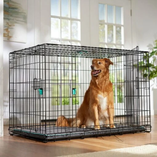 Frisco Heavy Duty Enhanced Lock Double Door Fold & Carry Wire Dog Crate & Mat Kit -Dog Supplies 233736 MAIN. AC SS1800 V1667229247