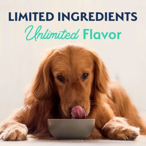 Natural Balance Limited Ingredient Grain-Free Chicken & Sweet Potato Recipe Dry Dog Food -Dog Supplies 237939 PT8. AC SS1800 V1652156806