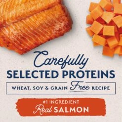 Natural Balance Limited Ingredient Grain-Free Salmon & Sweet Potato Recipe Dry Dog Food -Dog Supplies 237945 PT3. AC SS1800 V1652125118