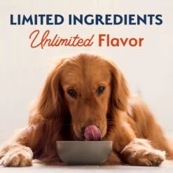 Natural Balance Limited Ingredient Grain-Free Salmon & Sweet Potato Recipe Dry Dog Food -Dog Supplies 237945 PT8. AC SS1800 V1652156827