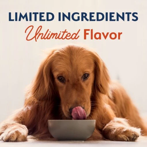 Natural Balance Limited Ingredient Grain-Free Salmon & Sweet Potato Recipe Dry Dog Food -Dog Supplies 237945 PT8. AC SS1800 V1652156827