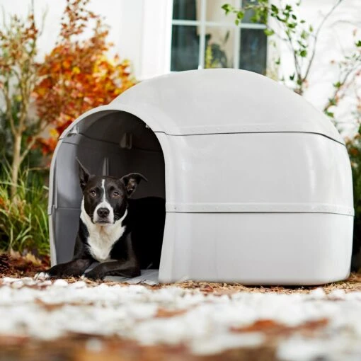 Frisco Dome Dog House -Dog Supplies 241900 MAIN. AC SS1800 V1602855705