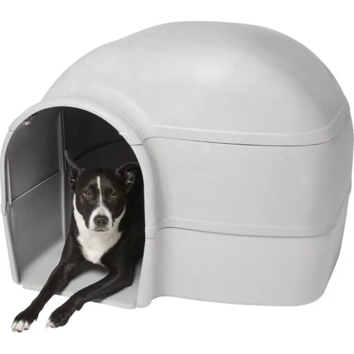 Frisco Dome Dog House -Dog Supplies 241900 PT2. AC SS1800 V1602884184