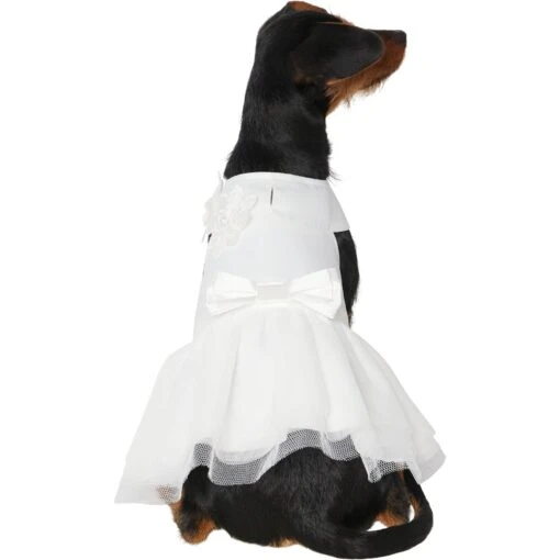 Frisco Formal Dog Wedding Dress -Dog Supplies 248743 MAIN. AC SS1800 V1614118280