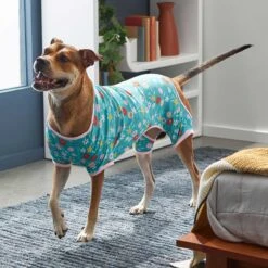 Frisco Teal Floral Dog & Cat Jersey PJs -Dog Supplies 249132 PT5. AC SS1800 V1637725019