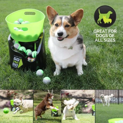 Hyper Pet GoDogGo Fetch Machine G5 Rechargeable Ball Launcher Interactive Dog Toy -Dog Supplies 258942 PT6. AC SS1800 V1622590041