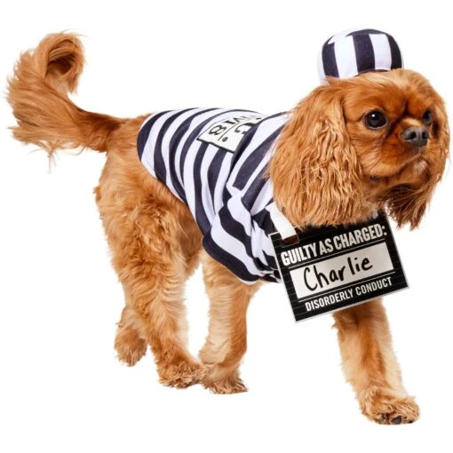 Frisco Prisoner Dog & Cat Costume -Dog Supplies 260933 MAIN. AC SS1800 V1624400089