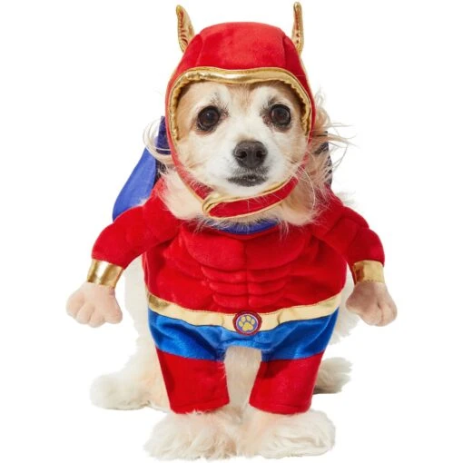 Frisco Front Walking Superhero Dog & Cat Costume -Dog Supplies 261083 MAIN. AC SS1800 V1624398205