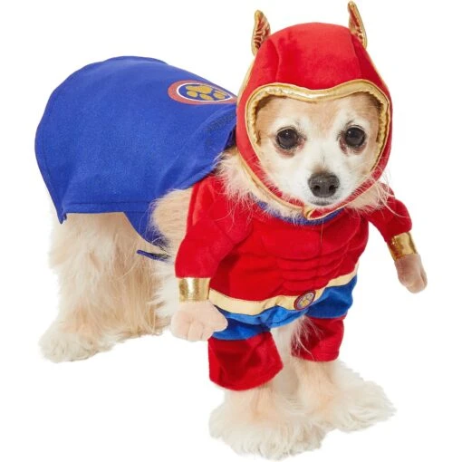 Frisco Front Walking Superhero Dog & Cat Costume -Dog Supplies 261083 PT3. AC SS1800 V1624454055