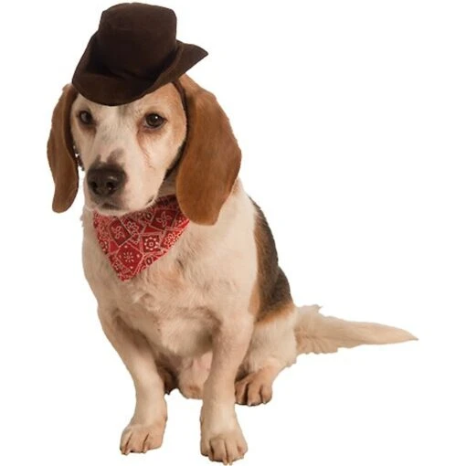 Rubie's Costume Company Cowboy Set Dog Costume -Dog Supplies 263126 MAIN. AC SS1800 V1606846324