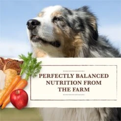 Whole Earth Farms Chicken & Turkey & Red Meat Recipes Grain-Free Variety Pack Wet Dog Food, 12.7-oz Can, Case Of 12 -Dog Supplies 263149 PT3. AC SS1800 V1683813125