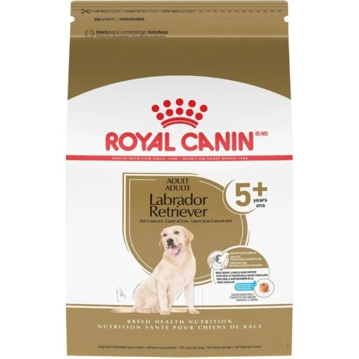 Royal Canin Breed Health Nutrition Labrador Retriever Adult 5+ Dry Dog Food -Dog Supplies 263410 MAIN. AC SS1800 V1695156284