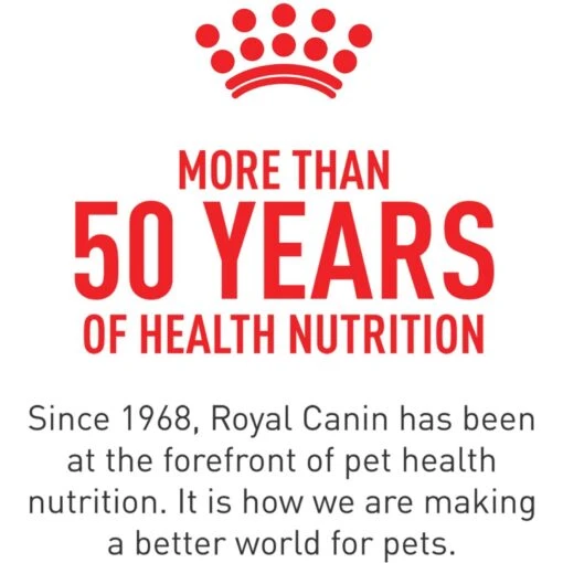 Royal Canin Breed Health Nutrition Labrador Retriever Adult 5+ Dry Dog Food -Dog Supplies 263410 PT5. AC SS1800 V1696449753