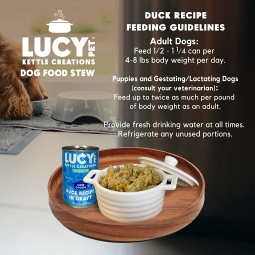 Lucy Pet Products Kettle Creations Duck Recipe In Gravy Wet Dog Food, 12.5-oz Can, Case Of 12 -Dog Supplies 263492 PT5. AC SS1800 V1607439440