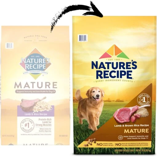 Nature's Recipe Mature Lamb & Rice Recipe Dry Dog Food -Dog Supplies 266853 PT1. AC SS1800 V1672842482