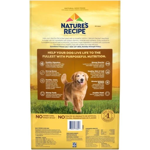 Nature's Recipe Mature Lamb & Rice Recipe Dry Dog Food -Dog Supplies 266853 PT2. AC SS1800 V1672782373