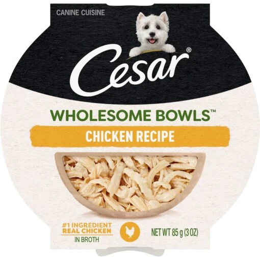 Cesar Wholesome Bowls Chicken Recipe Small Breed Adult Wet Dog Food -Dog Supplies 269187 MAIN. AC SS1800 V1695648818