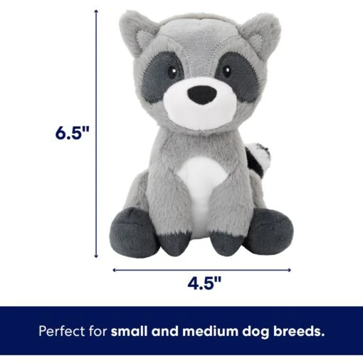 Frisco Camping Raccoon Plush Squeaky Dog Toy -Dog Supplies 271003 PT1. AC SS1800 V1686579630