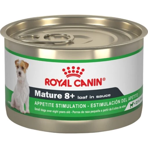 Royal Canin Mature 8+ Canned Dog Food -Dog Supplies 272069 MAIN. AC SS1800 V1696538601