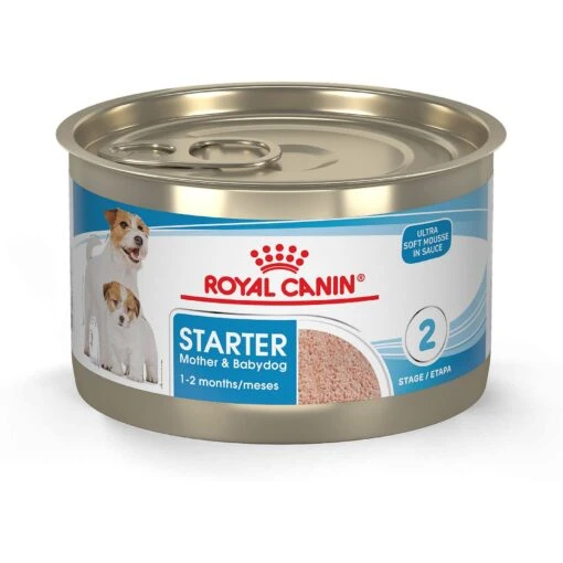 Royal Canin Size Health Nutrition Starter Mother & Babydog Mousse In Sauce Canned Dog Food -Dog Supplies 272675 MAIN. AC SS1800 V1697139171