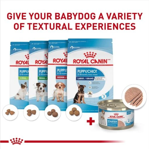 Royal Canin Size Health Nutrition Starter Mother & Babydog Mousse In Sauce Canned Dog Food -Dog Supplies 272675 PT5. AC SS1800 V1697212426