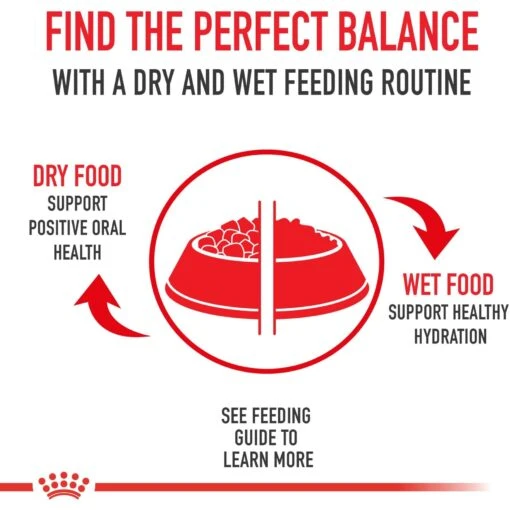 Royal Canin Veterinary Diet Adult Advanced Mobility Support Canned Dog Food -Dog Supplies 276001 PT5. AC SS1800 V1697760733