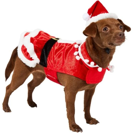 Frisco Mrs. Claus Dog & Cat Costume -Dog Supplies 276150 MAIN. AC SS1800 V1631574399