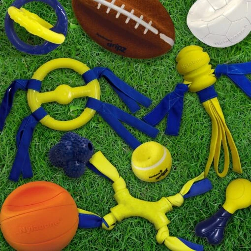 Nylabone Power Play Tug-a-Ball 2-in-1 Ball & Tug Dog Toy -Dog Supplies 278156 PT2. AC SS1800 V1614812550