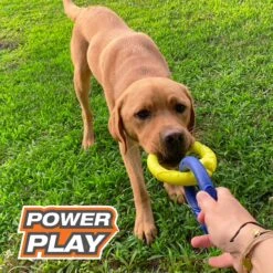 Nylabone Power Play Tug-a-Ball 2-in-1 Ball & Tug Dog Toy -Dog Supplies 278156 PT3. AC SS1800 V1614811315