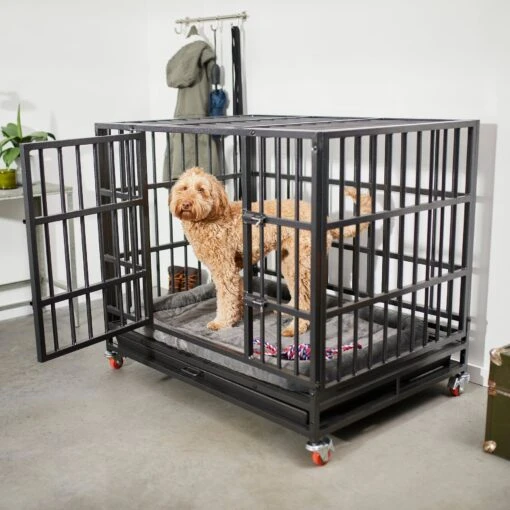 Frisco Ultimate Foldable & Stackable Heavy Duty Steel Metal Single Door Dog Crate -Dog Supplies 280395 MAIN. AC SS1800 V1632851201