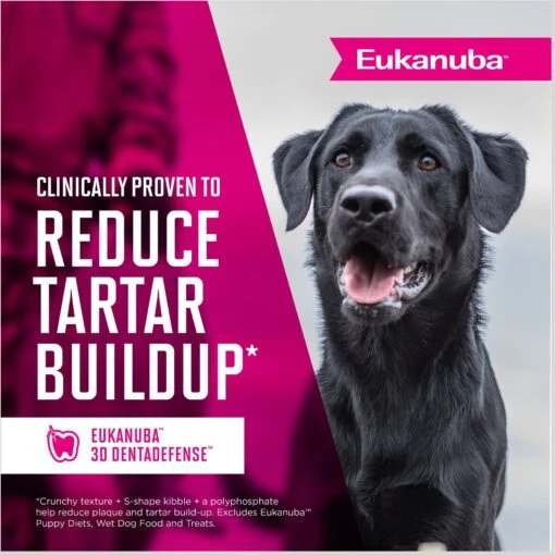 Eukanuba Senior Small Breed Dry Dog Food -Dog Supplies 282287 PT7. AC SS1800 V1677085791