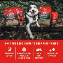 Stella & Chewy's Wild Red Raw Coated Kibble Wholesome Grains Prairie Recipe Dry Dog Food -Dog Supplies 291628 PT7. AC SS1800 V1645556342