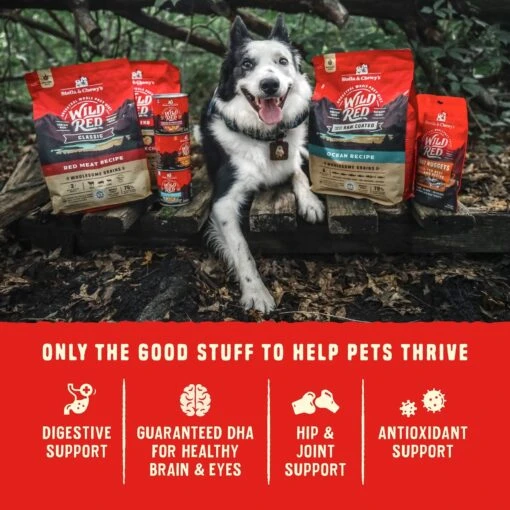 Stella & Chewy's Wild Red Raw Coated Kibble Wholesome Grains Ocean Recipe Dry Dog Food -Dog Supplies 291635 PT7. AC SS1800 V1645208293