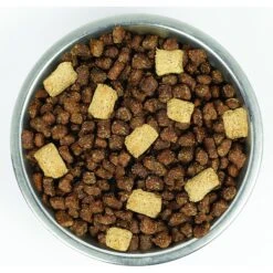 Stella & Chewy's Wild Red Raw Blend Kibble Wholesome Grains Prairie Recipe Dry Dog Food -Dog Supplies 291643 PT3. AC SS1800 V1619851340