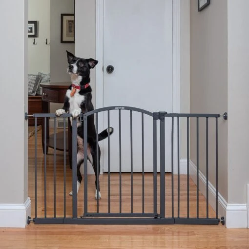 Summer Decor Safety Dog Gate -Dog Supplies 292150 MAIN. AC SS1800 V1621034014