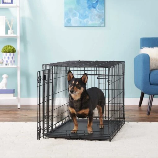 MidWest ICrate Fold & Carry Single Door Collapsible Wire Dog Crate & MidWest Quiet Time Ombre Swirl Dog Crate Mat -Dog Supplies 302930 PT4. AC SS1800 V1623071841