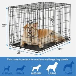 Frisco Fold & Carry Double Door Collapsible Wire Dog Crate & Mat Kit & Frisco Stainless Steel Bowl -Dog Supplies 303428 PT2. AC SS1800 V1623055045