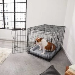 Frisco Fold & Carry Double Door Collapsible Wire Dog Crate & Mat Kit & Frisco Stainless Steel Bowl -Dog Supplies 303428 PT4. AC SS1800 V1623089543