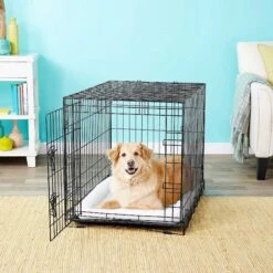 Frisco Fold & Carry Single Door Collapsible Wire Dog Crate & Frisco Premium Extra Large Printed Dog Training & Potty Pads -Dog Supplies 303438 PT4. AC SS1800 V1623088347