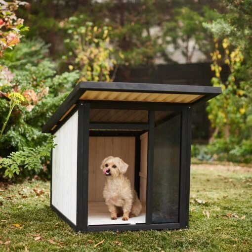 Frisco Modern Wooden Outdoor Dog House, White -Dog Supplies 304038 MAIN. AC SS1800 V1641480742