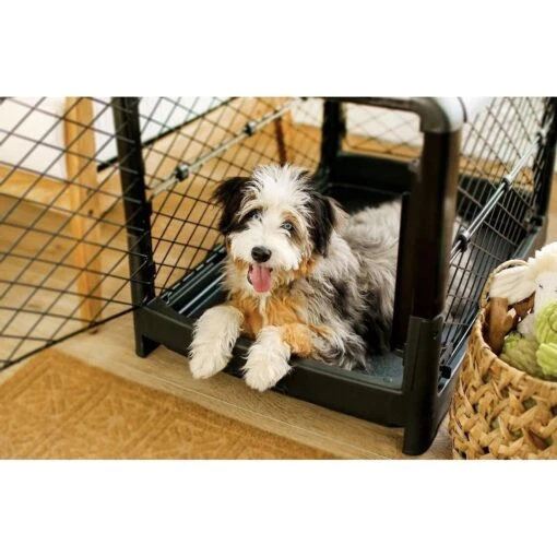 Diggs Revol Collapsible Dog Crate -Dog Supplies 313497 PT7. AC SS1800 V1627307482