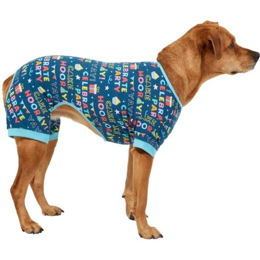 Frisco Celebration Dog & Cat PJs -Dog Supplies 315105 MAIN. AC SS1800 V1646442148