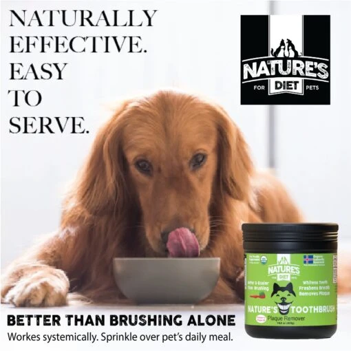 Nature's Diet Toothbrush Systemic Plaque Remover Dry Dog Food Topping, 14.8-oz Jar -Dog Supplies 318153 PT3. AC SS1800 V1628804515