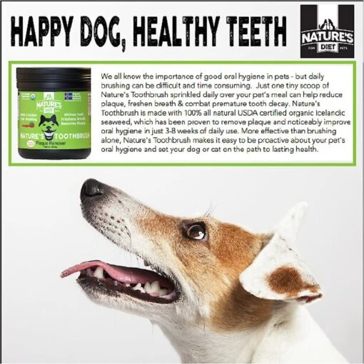 Nature's Diet Toothbrush Systemic Plaque Remover Dry Dog Food Topping, 14.8-oz Jar -Dog Supplies 318153 PT4. AC SS1800 V1628802407