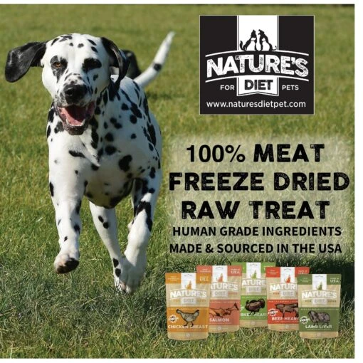 Nature's Diet Lamb Liver Raw Freeze-Dried Dog Treats, 3.5-oz Pouch -Dog Supplies 318161 PT4. AC SS1800 V1628808108