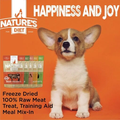 Nature's Diet Lamb Liver Raw Freeze-Dried Dog Treats, 3.5-oz Pouch -Dog Supplies 318161 PT5. AC SS1800 V1628804588