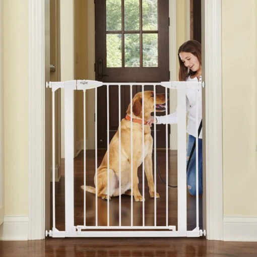 MyPet Tall Happy Tails Walk Thru Dog Gate, 36-in, White -Dog Supplies 319741 MAIN. AC SS1800 V1664572661