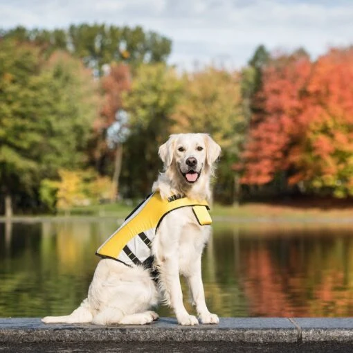 GF Pet Life Vest Dog Jacket, Yellow -Dog Supplies 325440 PT6. AC SS1800 V1630556509